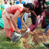 2020 - World Environment Day